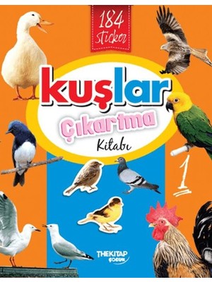 Lisinya Kuşlar Çıkartma Kitabı - 1