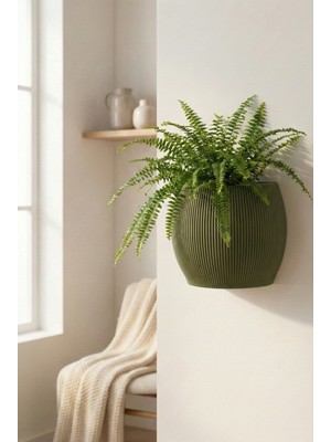 Puffin Design Nest Duvar Saksısı