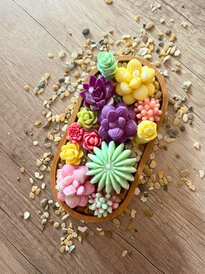 Yaratıcı Sanatlar Atölyesi Ahşap Kase Içinde Sukulent Mumlar Dekoratif Mum Kokulu Doğal Soya El Yapımı Mum 15 cm