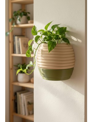 Puffin Design Hive Duvar Saksısı