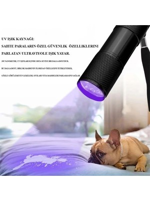 TE Dükkan Buğz Ultraviole Para Kontrol Işığı WT-302