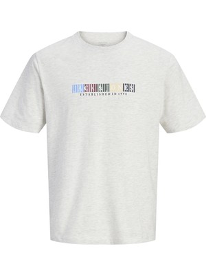 Jack & Jones Jack&jones 12297899 0 Yaka Erkek Tshirt - Gri