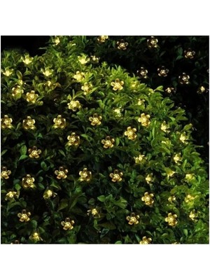 Alvo Store Buğz Solar 30 Ledli Çiçekli Günışığı Bahçe Aydınlatma Dekorasyon Güneş Enerjili - Buğz