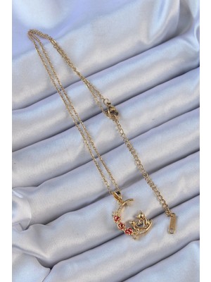 Alvo Store Buğz 316L Çelik Zincir Altın Renk Kırmızı Gül Detay Kedi Figür Zirkon Taşlı Ay Kolye - Buğz