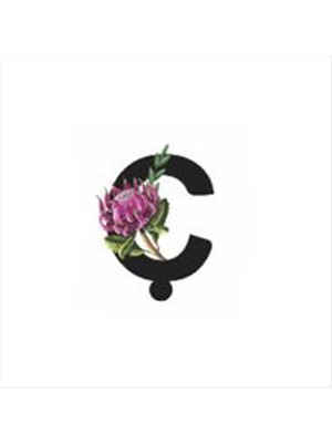 Zero Land Ozdestor Harf Figürlü Kaktüs Sukulent Saksısı-Ç