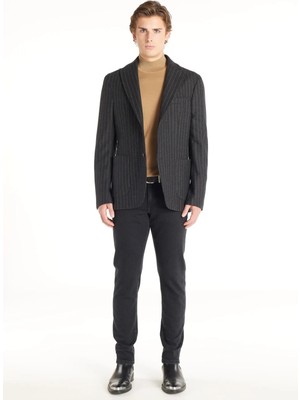 Ted Baker Antrasit Erkek Standart Çizgili Ceket TBMRJC1012