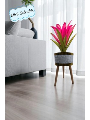 Özbience Kadife Kumaşlı Saksılık, Ayaklı ve Ayaksız, Bej, Krem, Pembe, Gri Renkler