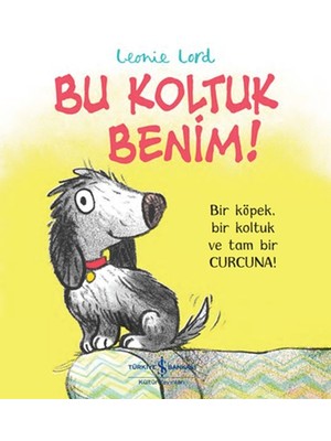 Binbir Göz Kitap Bu Koltuk Benim!