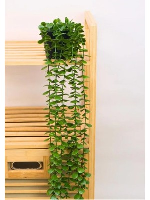 Leylart Dekoratif Saksılı 7’li Yapay Sarkıt Bitki Çiçek Sarmaşık 40CM