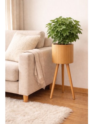 Özbience Bambu Ahşap Ayaklı Sepet ve Saksılık, Doğal ve Şık Tasarım