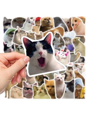Selfbuysell Çılgın Kediler Macbook Notebook Tablet Telefon Ajanda Laptop Defter Sticker Seti