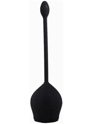 Tuvalet Fırçası Siyah