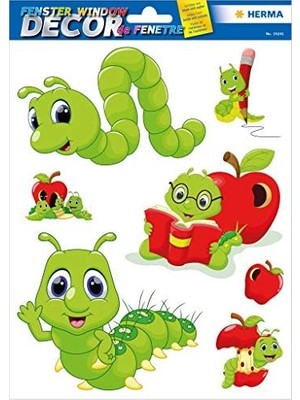 Window Cam Yüzey Etiketi