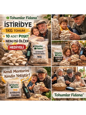 Tohumcu Kikizade TOHUMLAR FiDANA İstiridye Mantarı Başlangıç Seti ( 1 kg Tohum ve Nem Ölçer + 10 Adet Micro Delikli Torba)