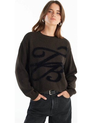 Ted Baker Kahverengi Kadın Bisiklet Yaka Standart Fit Nakışlı Kazak TBWRKW1028