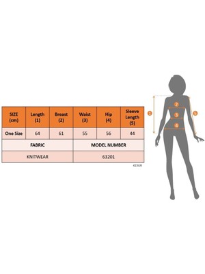 Nnstartshopping  Kadın Uzun Kollu Kayık Yaka Triko Bluz