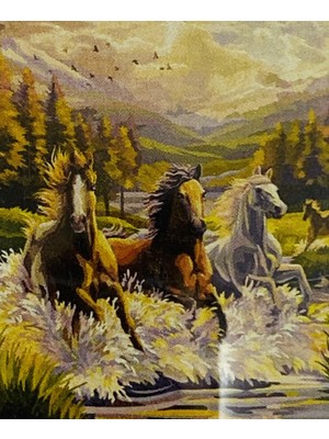 Elegantshop 5d Yapışan Boncuk Mozaik Tablo 40*50 cm XQC87401