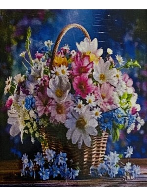 Elegantshop 5d Yapışan Boncuk Mozaik Tablo 40*50 cm XQC87504