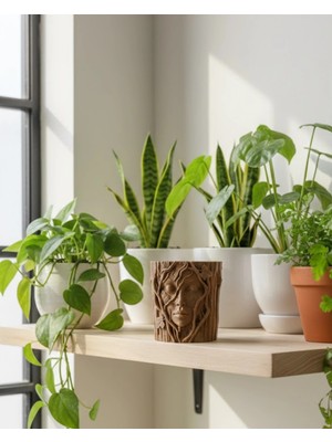 Eco Lounge 3D Ağaç Gövdesi Formlu Yüz Figürlü Dekoratif Saksı Sanatsal Tasarım Vazo