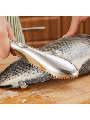 Noxsa Pratik Balık Pulu Kazıyıcı Aparat