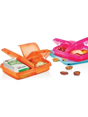 VeraGlobe Buğz Natürel Beslenme Kabı