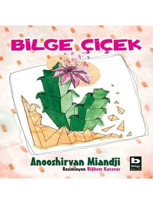 Ergün Collection Bilge Çiçek