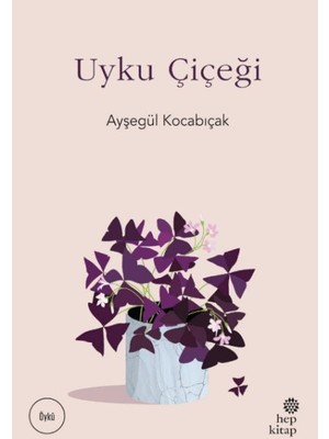 Ergün Collection Uyku Çiçeği