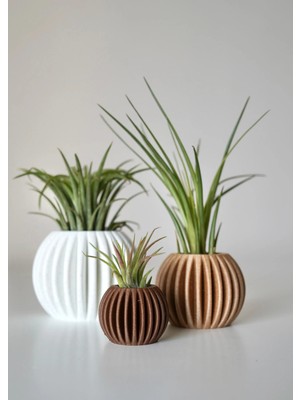 Modern Çizgili Dekoratif Saksı Seti | Minimal Masa Üstü Bitki Saksısı (3 Boy)