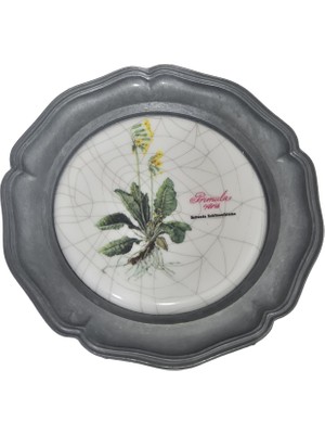 Hasyılmaz Vintage Zınn Çerçeveli Dekoratif Bahar Çuha Çiçeği Temalı Duvar Tabağı 10CM 003