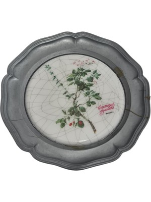 Hasyılmaz Vintage Zınn Çerçeveli Dekoratif Alıç Bitkisi Temalı Duvar Tabağı 10CM 013