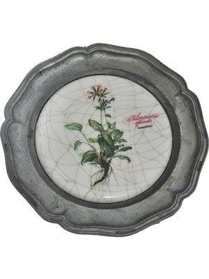 Hasyılmaz Vintage Zınn Çerçeveli Dekoratif Pulmonaria Officinalis Bitkisi Temalı Duvar Tabağı 10CM 007