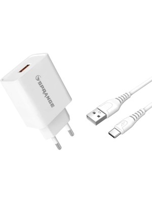 VeraGlobe Buğz 22W Usb-A Başlık - Type-C Data ve Şarj USB Kablosu