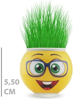 VeraGlobe Buğz Çim Adam Saksı Emoji Figürlü 1 Adet