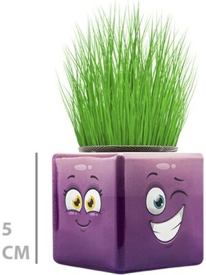 VeraGlobe Buğz Çim Adam Mini Küp Emoji Figürlü 1 Adet