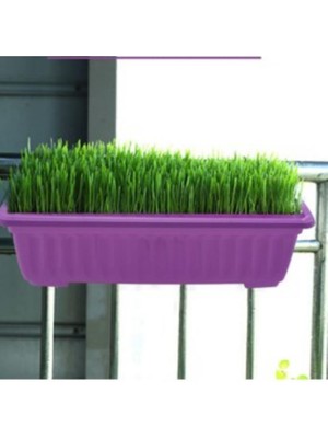 Abnturk 50×15 Balkon Saksı'sı