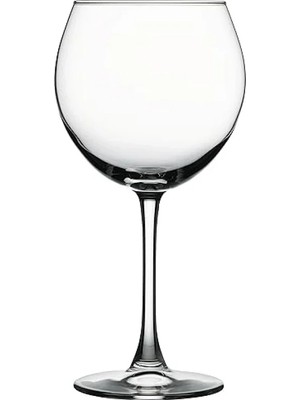 Esranın Dünyası 655 cc Kapasiteye Sahip 2'li Şarap Kadehi Seti