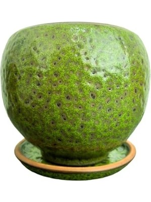 Esranın Dünyası Yeşil Şekilli Tabaklı Toprak Saksı, Iç ve Dış Mekan Kullanımı