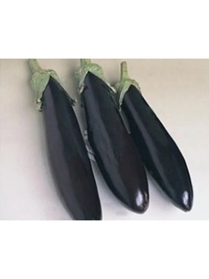 Esranın Dünyası Aydın Patlıcan Tohumu - 10 gr