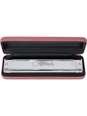 Esranın Dünyası T2406S-CM Tremolo Mızıka - Yüksek Kaliteli Ses