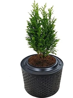 Esranın Dünyası Fırınlanmış Metal Büyük Saksı - 33-38 cm Yükseklik, 45-55 cm Çap