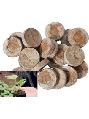 Esranın Dünyası Şişen Tablet - 10 Adet