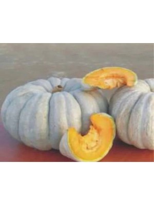 Esranın Dünyası Kabak Arıcan Tohumu - 10 gr