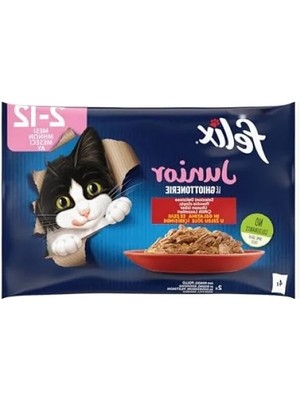 Esranın Dünyası Yavru Kedi Beslenme Seti (12 Paket x 4 = 85GR)