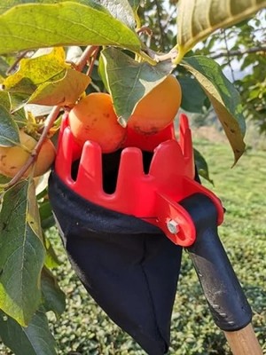 Esranın Dünyası Meyve Toplama Aleti, Pratik ve Kullanışlı