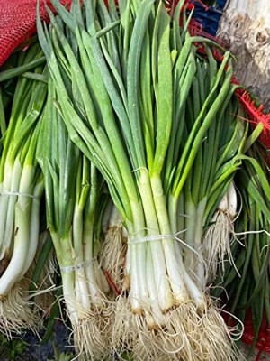 Esranın Dünyası Doğal Yeşil Soğan Tohumu - 5 Adet