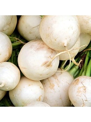 Esranın Dünyası Turp Beyaz Kız Tohumu - 10 Gram