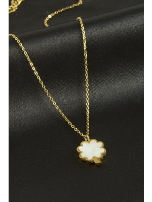 Aesco Yonca Sedef Lüks Çelik Kolye