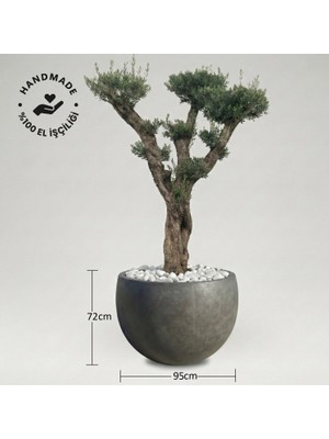 Hobi Tarım Büyük Beton Ağaç Saksısı 72X95CM