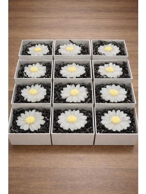 Kutulu Papatya Mum – Dekoratif El Yapımı Papatya Tasarım Mum