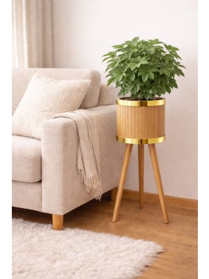 Black Pearl Bambu Ahşap Ayaklı Saksı Gold
